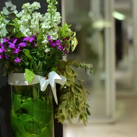 Ξενοδοχείο Wes Κοτζαελί