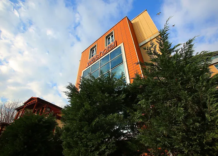 Hotel Wes 4*